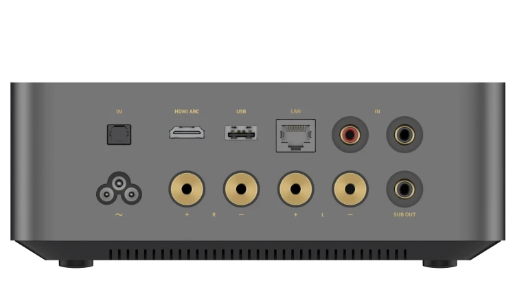 wiim-amp-ultra-widok-z-tylu.jpg