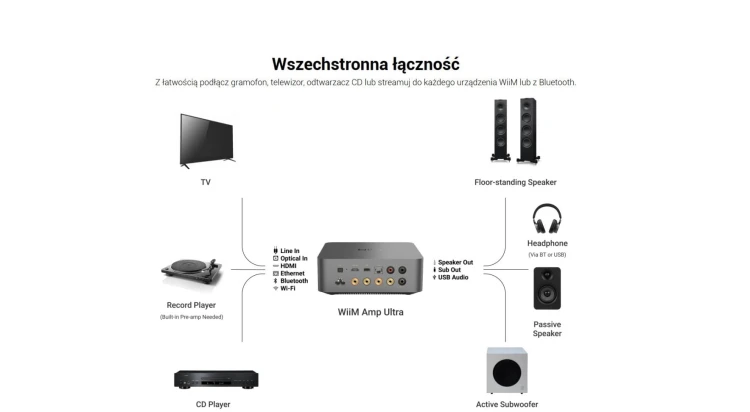 wiim-amp-ultra-zdjecie-mozliwych-polaczen.jpg