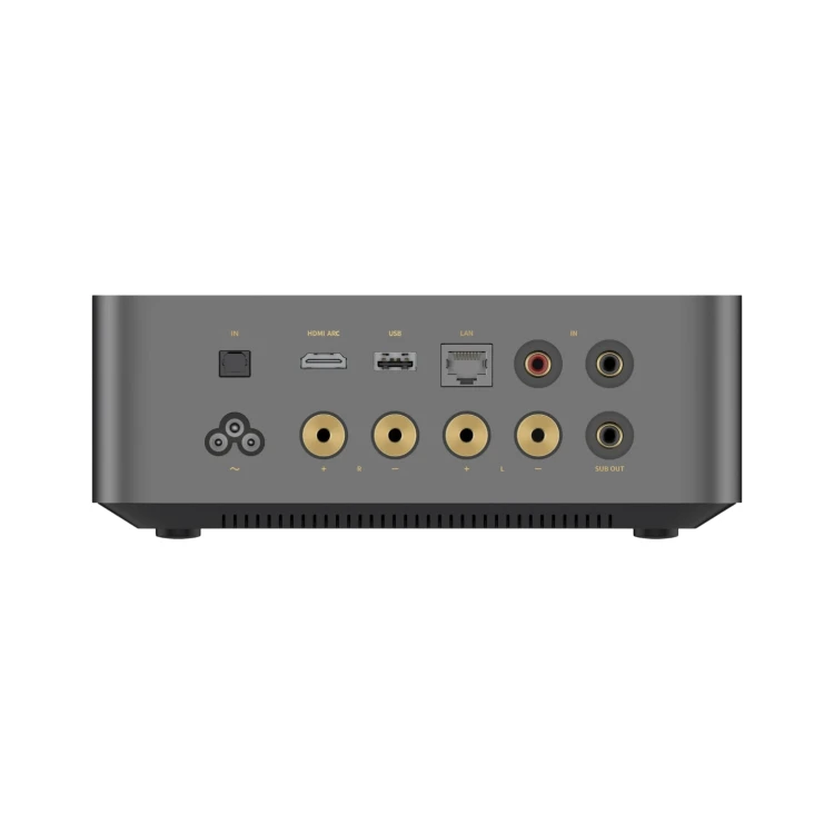 wiim-amp-ultra-widok-z-tylu.webp