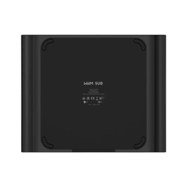 WiiM-Sub-Pro-black-zdjecie-z-tylu.webp